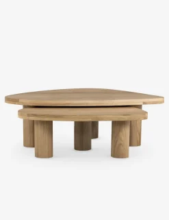 Mariano Nesting Coffee Table (Set of 2)
