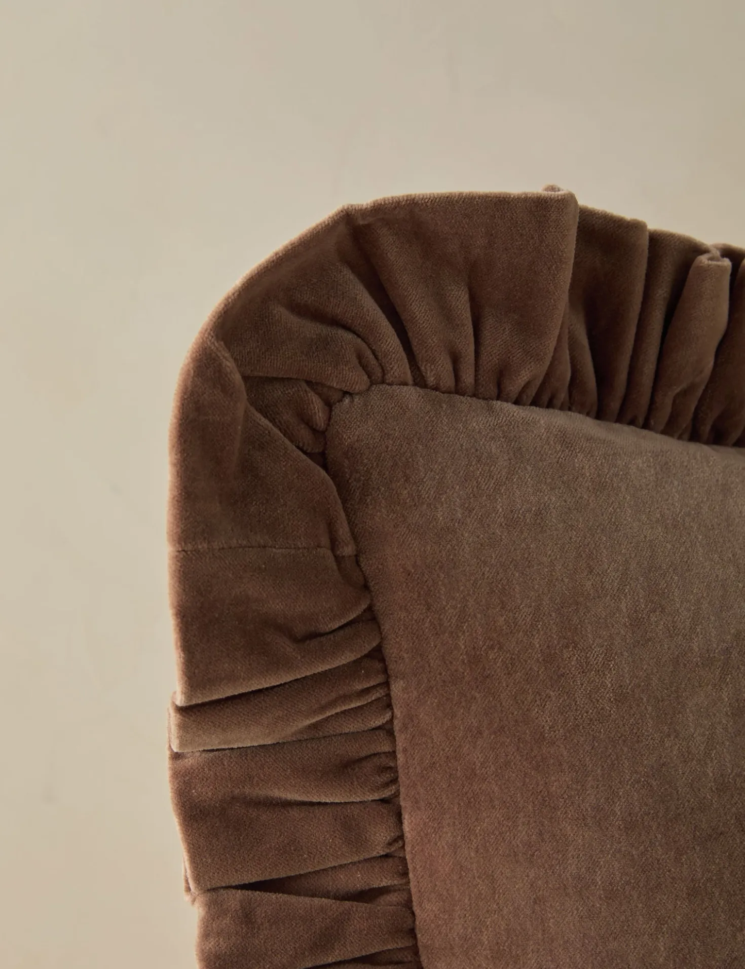 Mauree Velvet Pillow