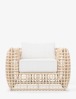 Mendoza Indoor / Outdoor Accent Chair