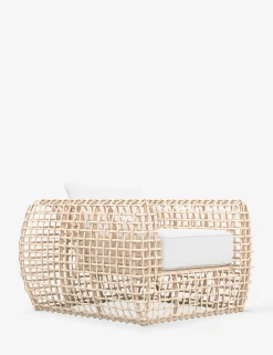 Mendoza Indoor / Outdoor Accent Chair