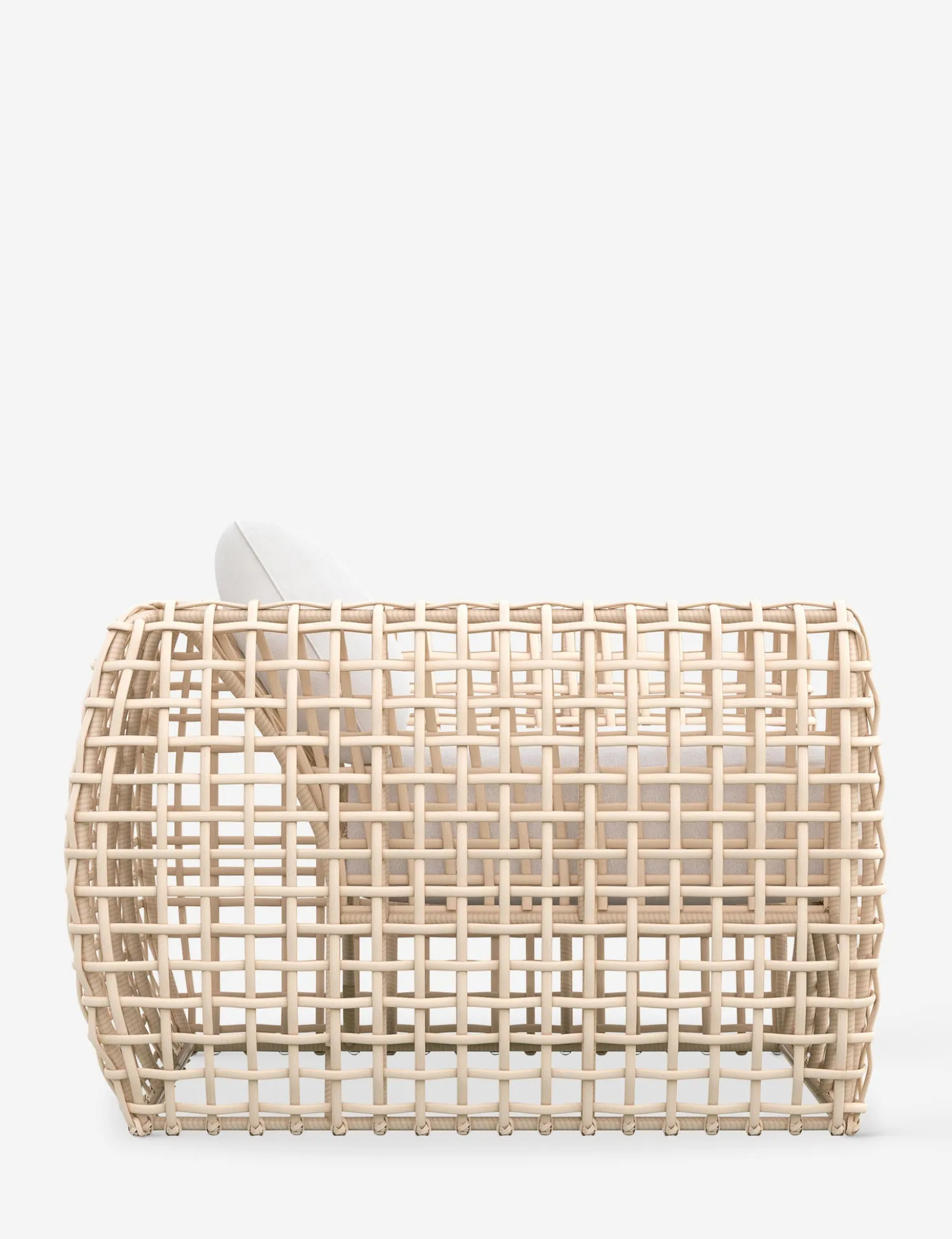 Mendoza Indoor / Outdoor Accent Chair