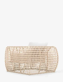 Mendoza Indoor / Outdoor Accent Chair
