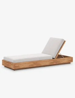 Minnette Indoor / Outdoor Chaise