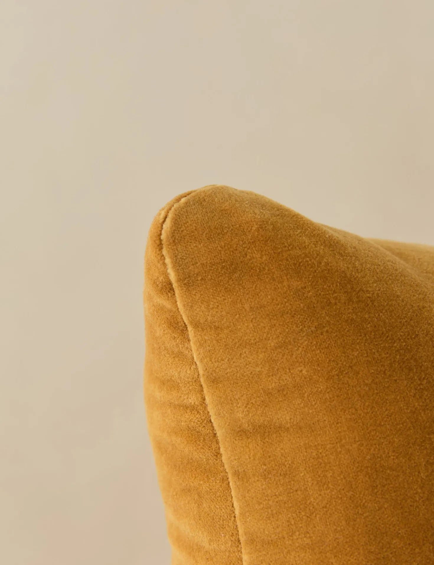 Monroe Velvet Pillow