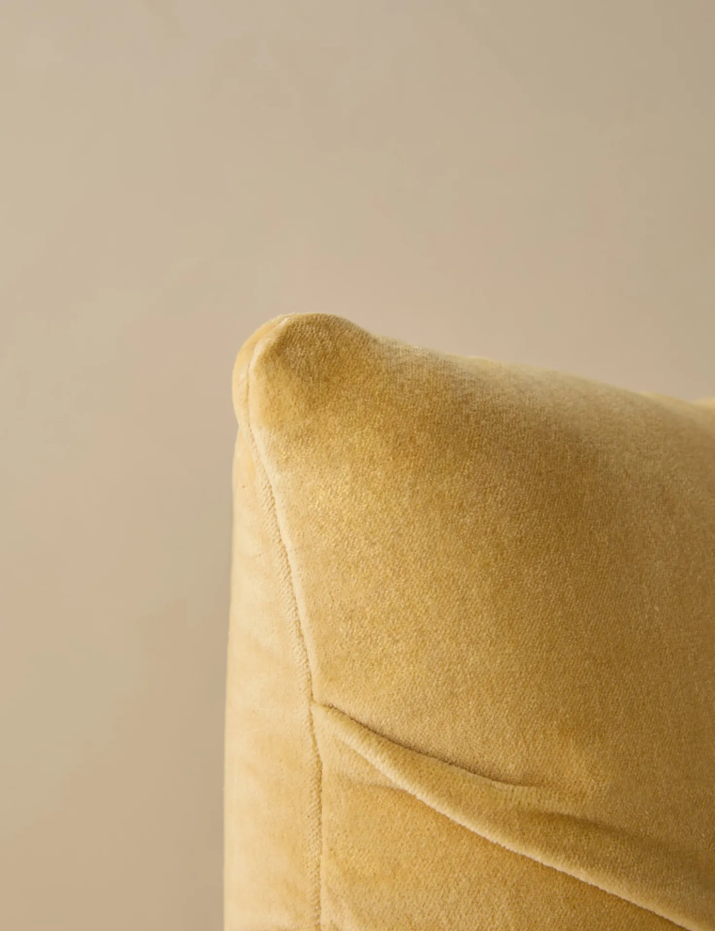 Monroe Velvet Pillow