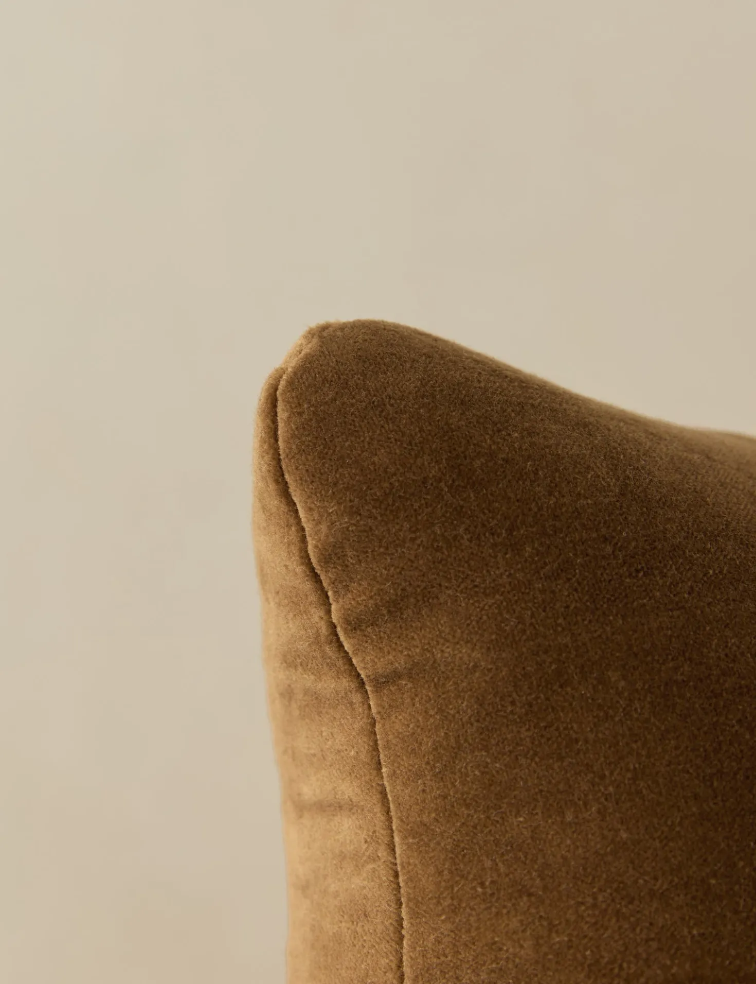Monroe Velvet Pillow