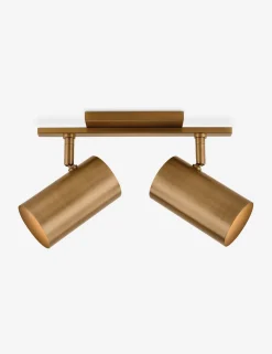 Newcomb Adjustable Vanity Light