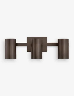 Newcomb Adjustable Vanity Light