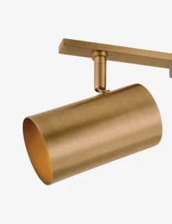 Newcomb Adjustable Vanity Light