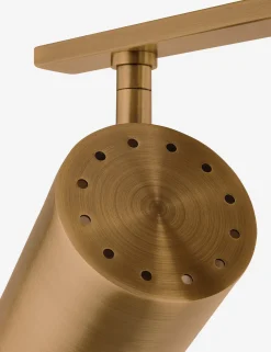 Newcomb Adjustable Vanity Light