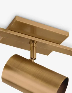Newcomb Adjustable Vanity Light