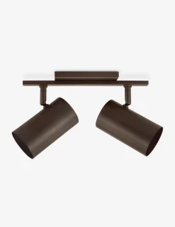 Newcomb Adjustable Vanity Light