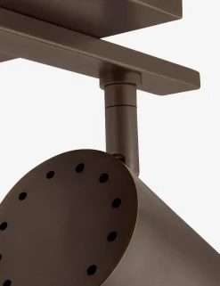 Newcomb Adjustable Vanity Light