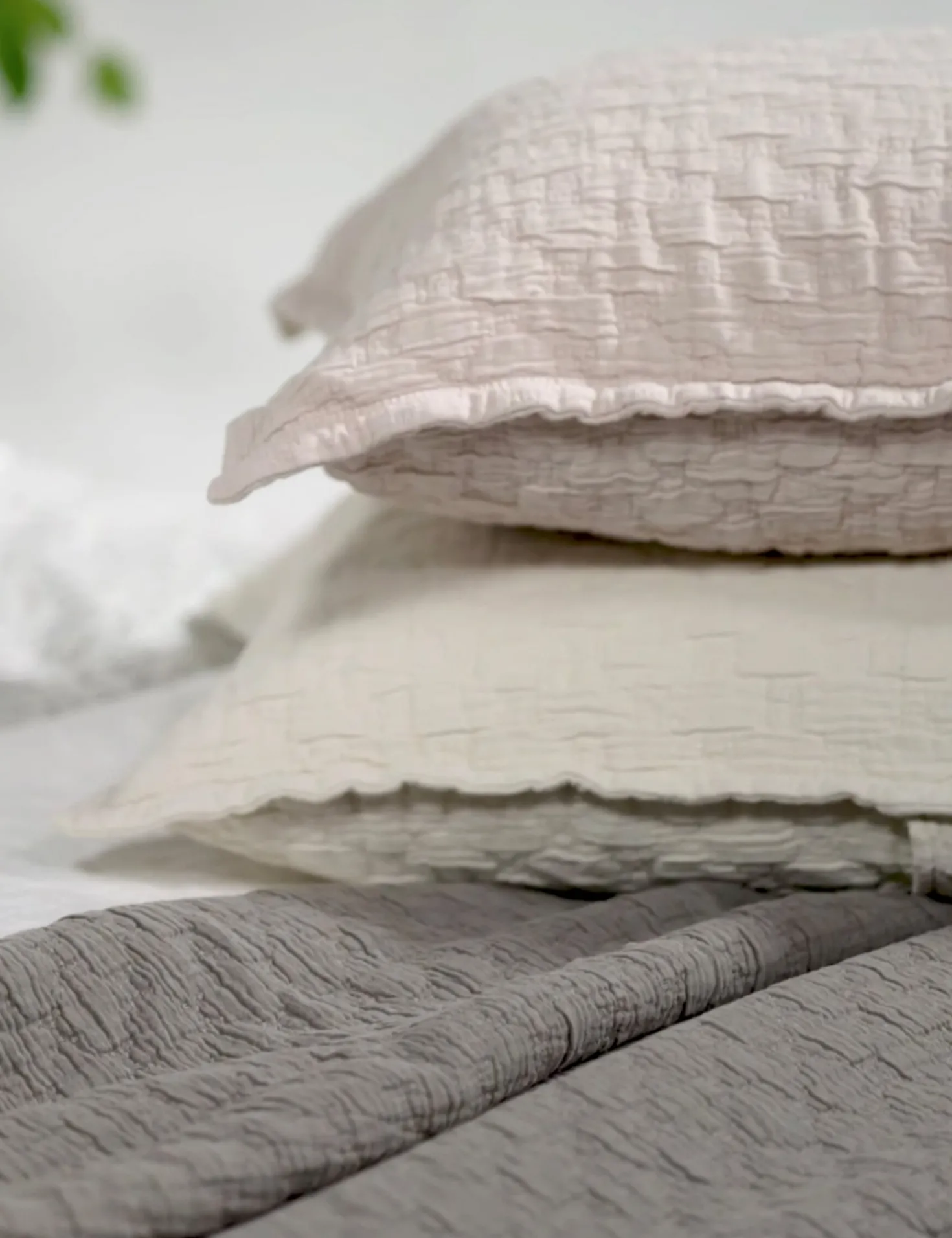 Ojai Cotton Matelasse Euro Sham by Pom Pom at Home