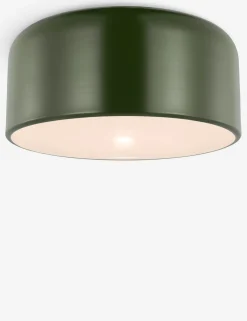 Olaf Flush Mount Light