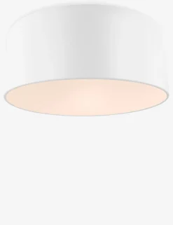 Olaf Flush Mount Light
