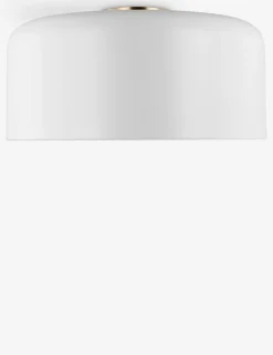 Olaf Flush Mount Light