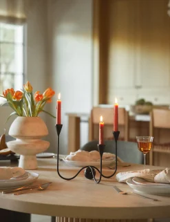 Orb Candelabra by Sarah Sherman Samuel