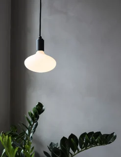 Oval 6W LED Bulb by Tala