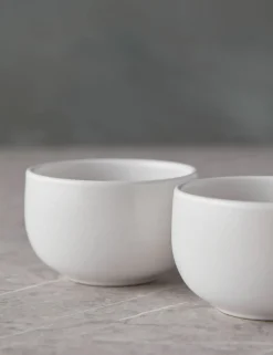 Pacifica Ramekins (Set of 6) by Casafina