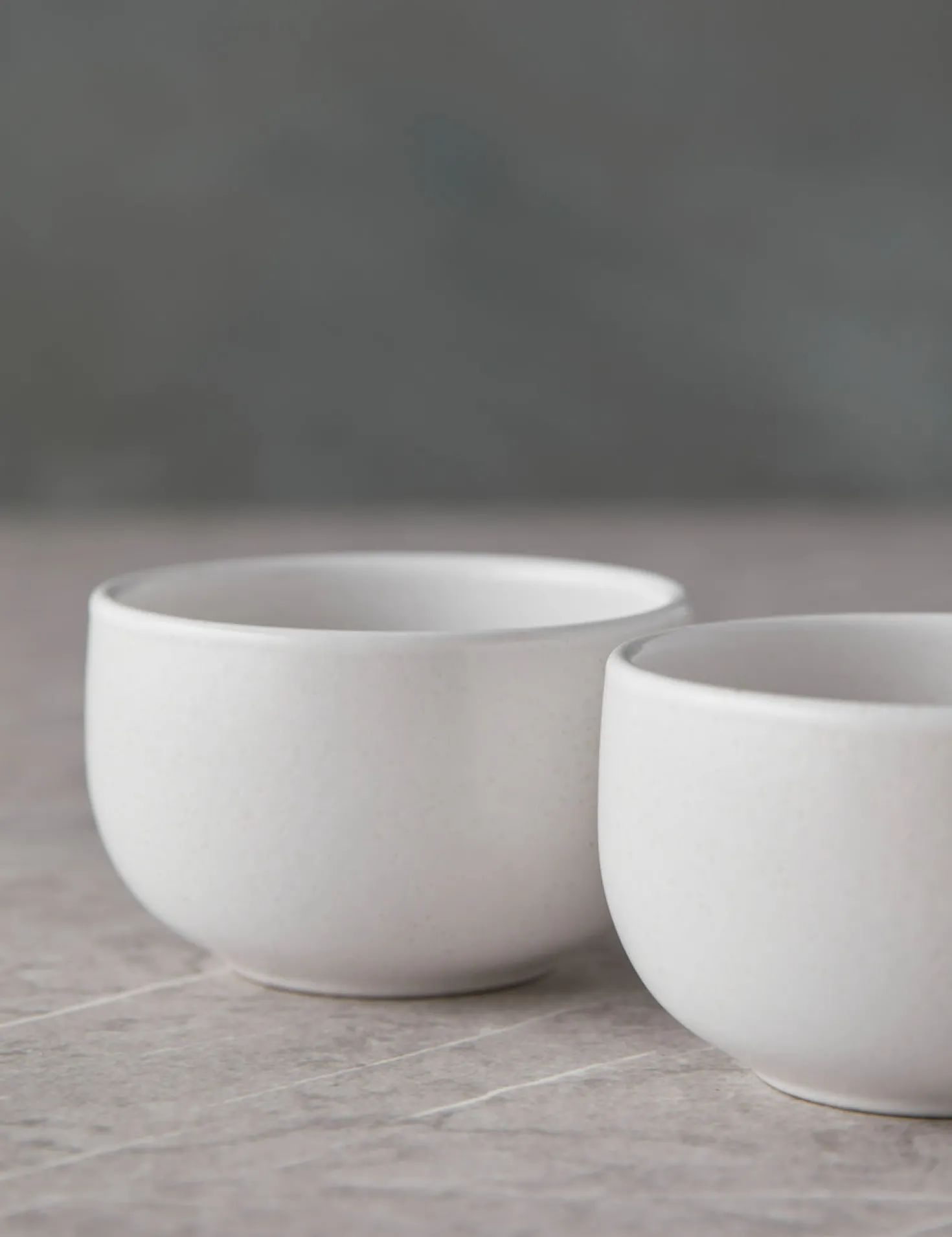 Pacifica Ramekins (Set of 6) by Casafina