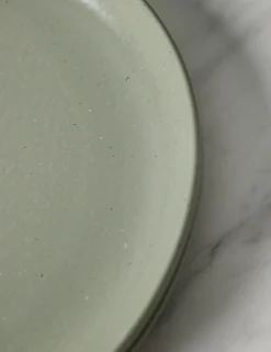 Pacifica Stoneware Dinnerware by Casafina