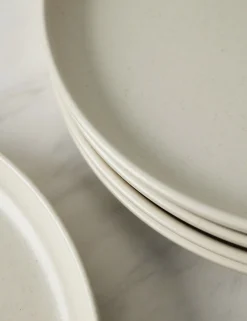 Pacifica Stoneware Dinnerware by Casafina