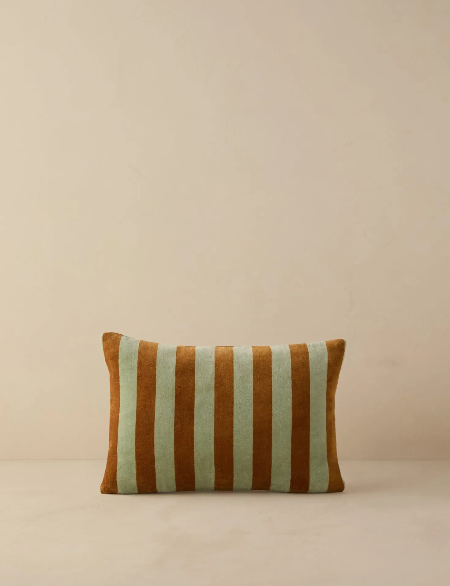 Panetta Velvet Pillow