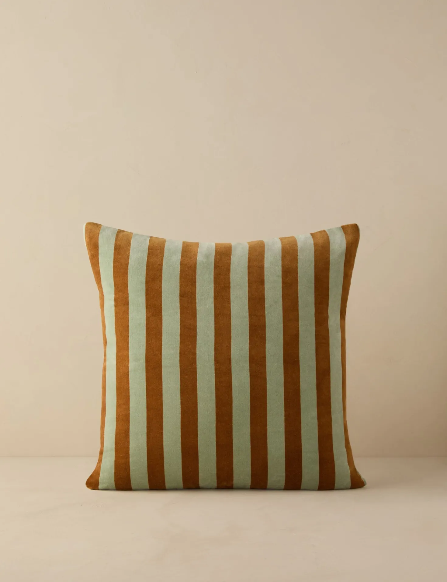 Panetta Velvet Pillow