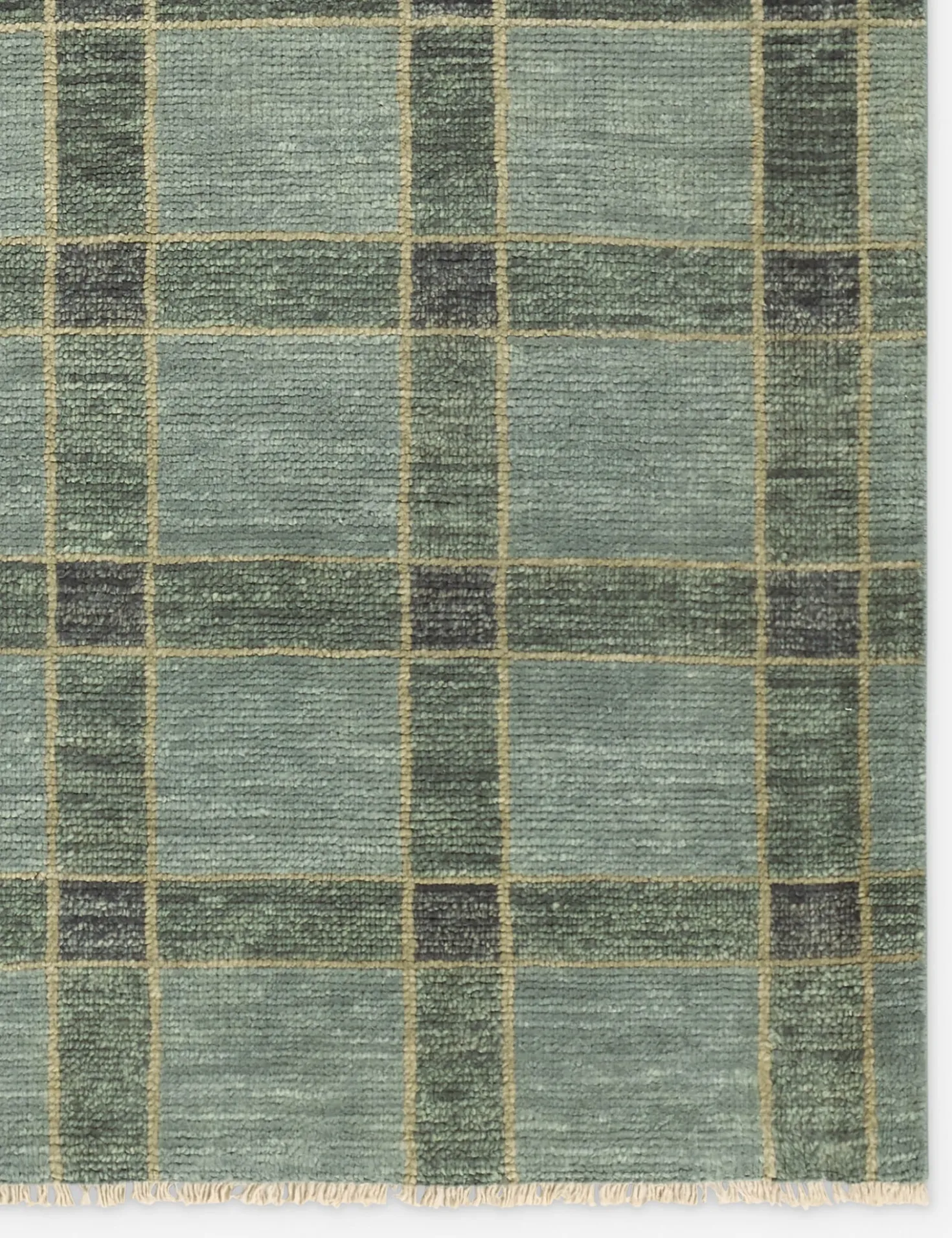 Pavez Hand-Knotted Wool Rug