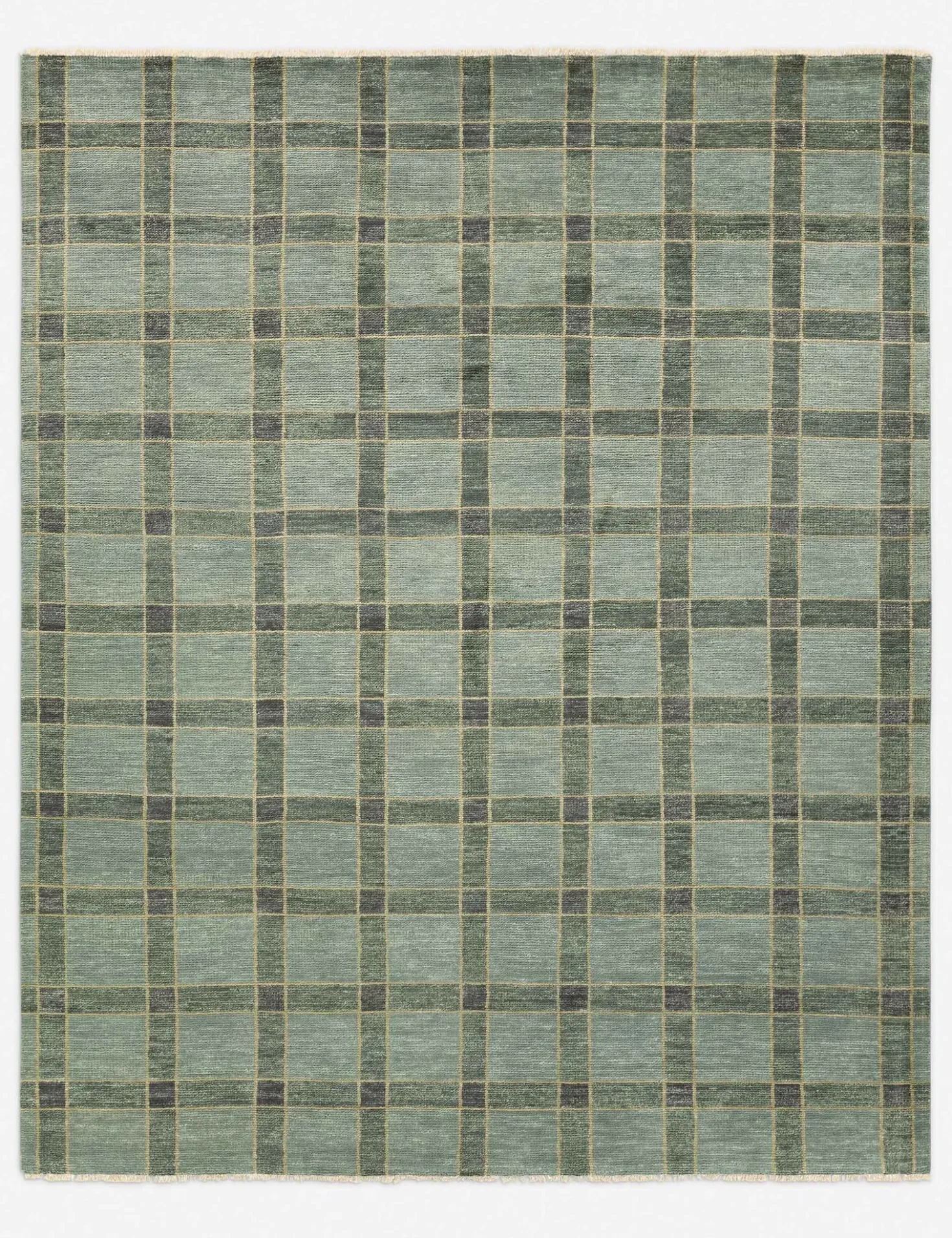 Pavez Hand-Knotted Wool Rug
