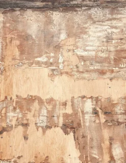 Petra Falls Wall Art by Paul Meyer