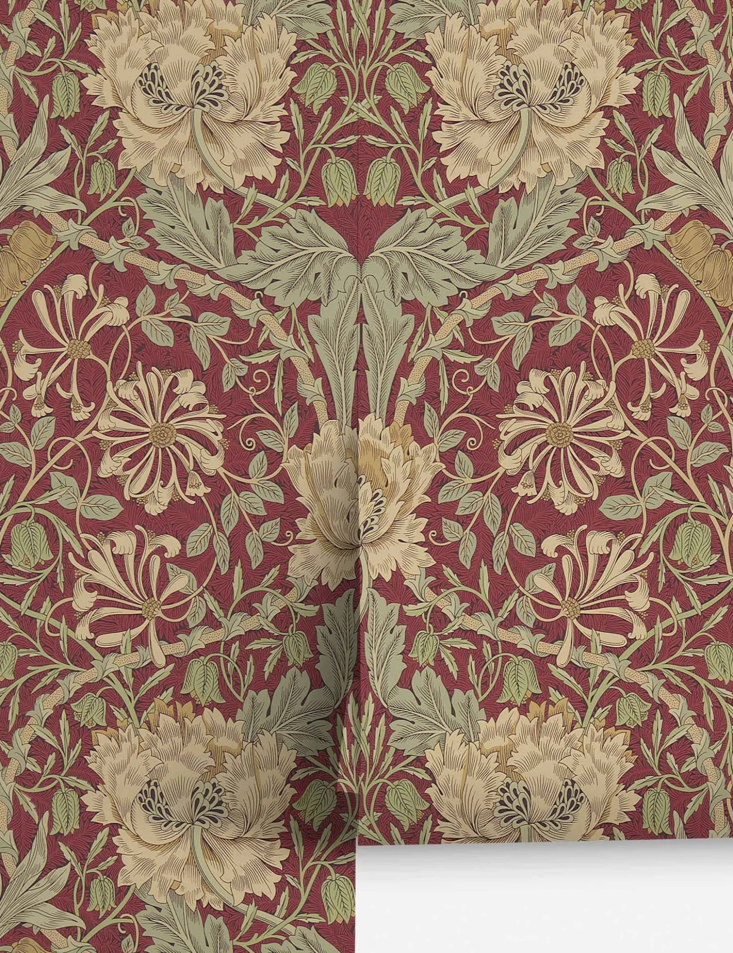 Pure Honeysuckle & Tulip Wallpaper by Morris & Co.