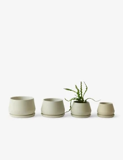 Rancho Ceramic Indoor / Outdoor Planter by LBE Design