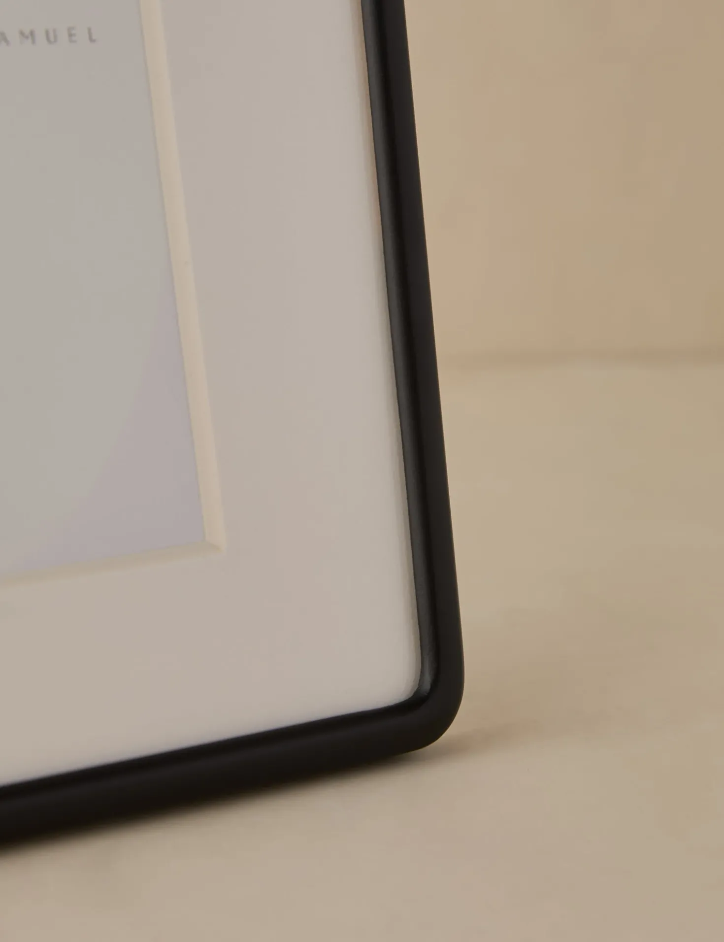 Rook Picture Frame by Sarah Sherman Samuel