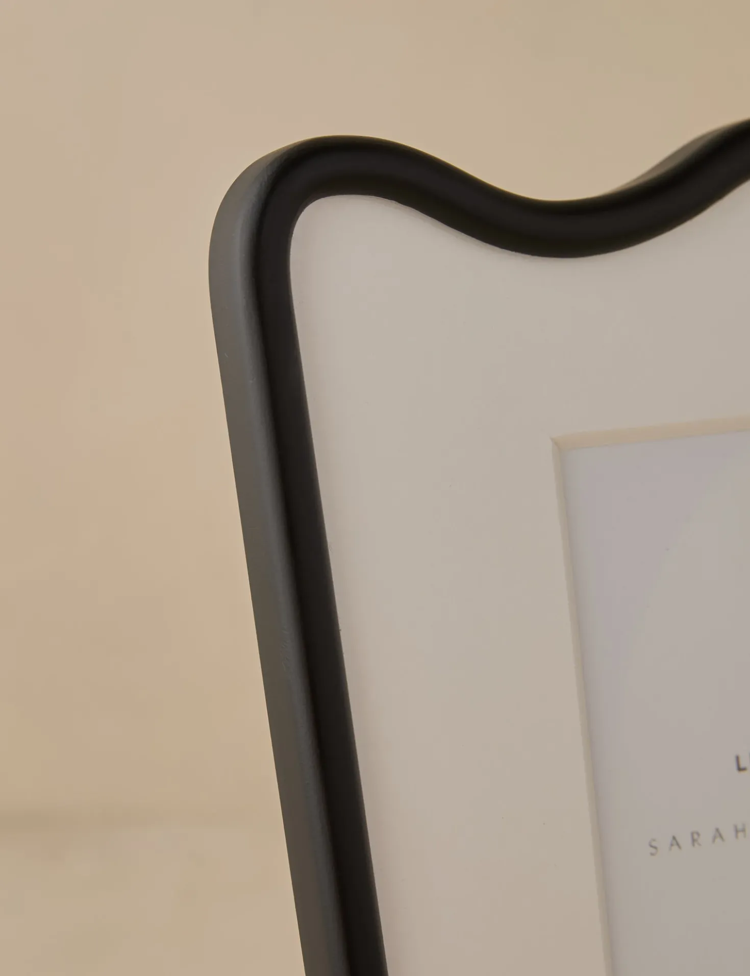 Rook Picture Frame by Sarah Sherman Samuel