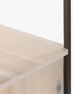 Rosamonde Bookcase
