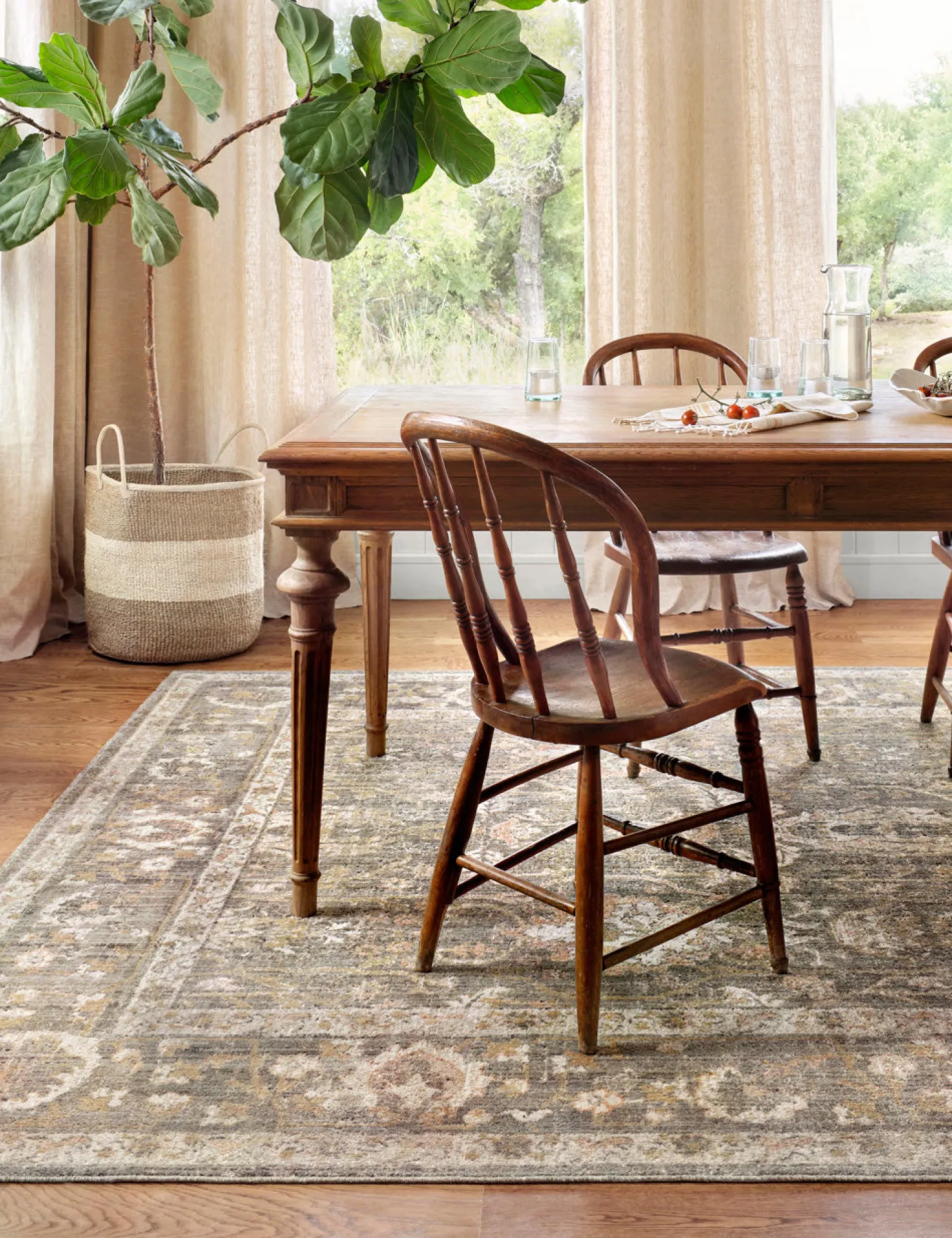 Rosemarie Rug by Chris Loves Julia x Loloi
