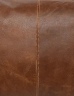 Sabrea Leather Lumbar Pillow