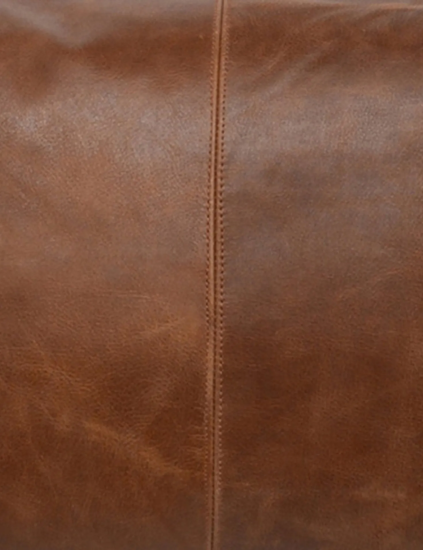 Sabrea Leather Lumbar Pillow
