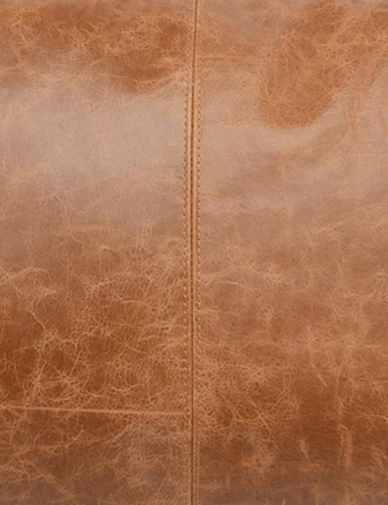 Sabrea Leather Lumbar Pillow