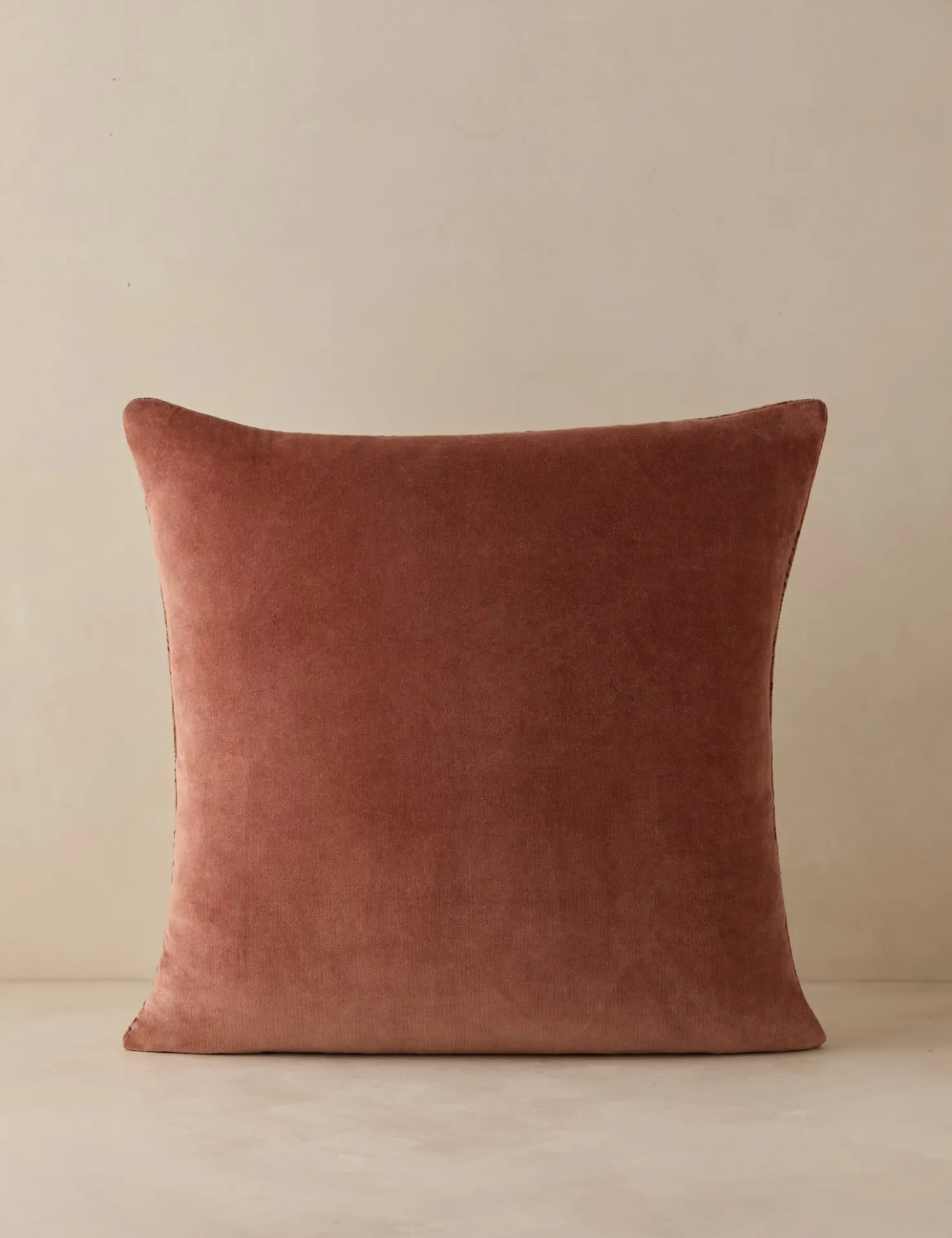 Sandell Velvet Pillow