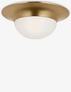 Seeger Flush Mount Light