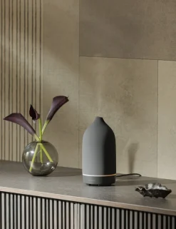 Stone Diffuser by Vitruvi