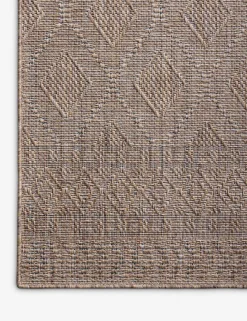 Topanga II Indoor / Outdoor Rug by Amber Lewis x Loloi