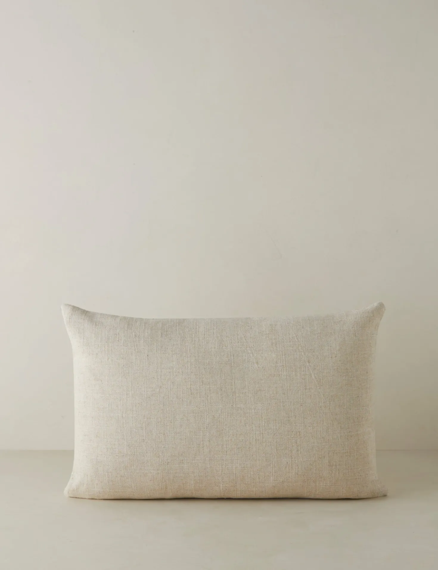 Topos Embroidered Pillow by Élan Byrd