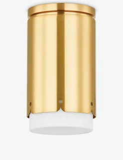 Trenet Flush Mount Light