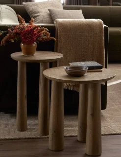 Venturi Nesting Side Tables (Set of 2)