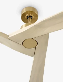 Vesa Ceiling Fan
