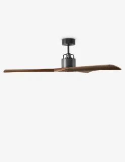Vesa Ceiling Fan